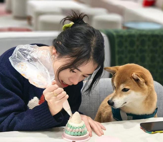 饼热销还可量身定制有商家一周内售出上千枚麻将胡了“毛孩子”也过中秋！成都宠物月(图4)
